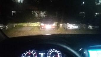 国产版夜行车在线播放,穿梭光影，尽享视觉盛宴